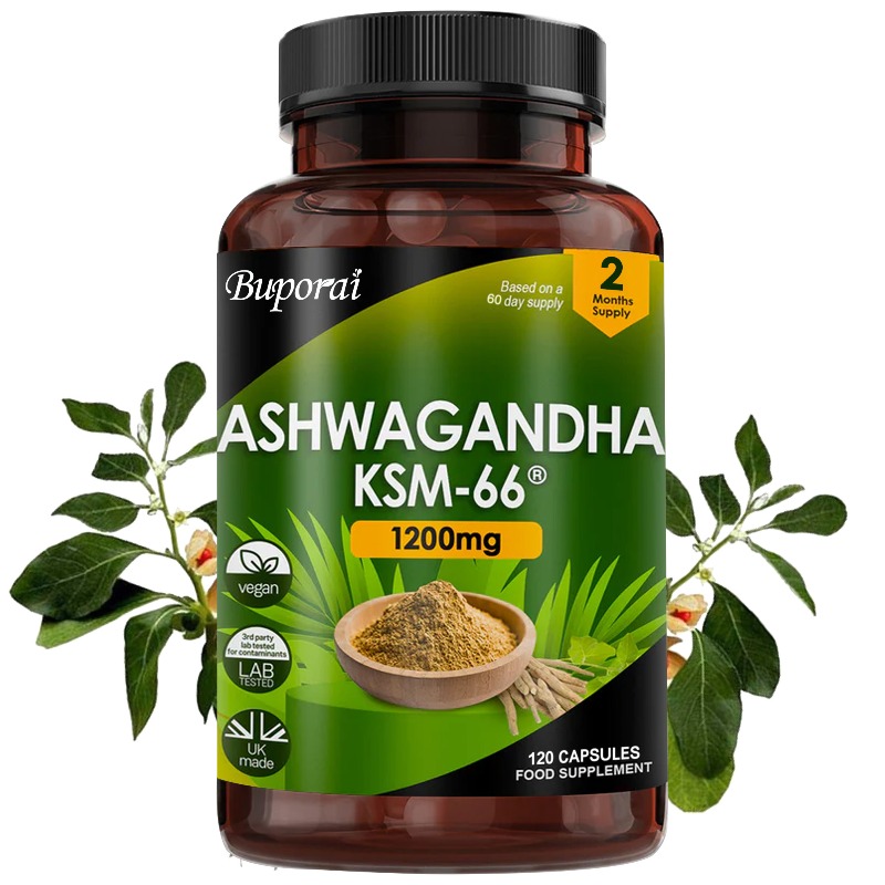 Ginkgo Biloba Extract - สารสกัดจากรากอัชวกันดาออร์แกนิก KSM-66 บรรเทาความเครียด – ผงรากดูดซึมสูง –