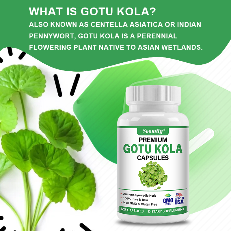 แคปซูลกูโตะโคล่า 1300 มก. - แป - Ginkgo Biloba Extract บทวิจารณ์และราคา