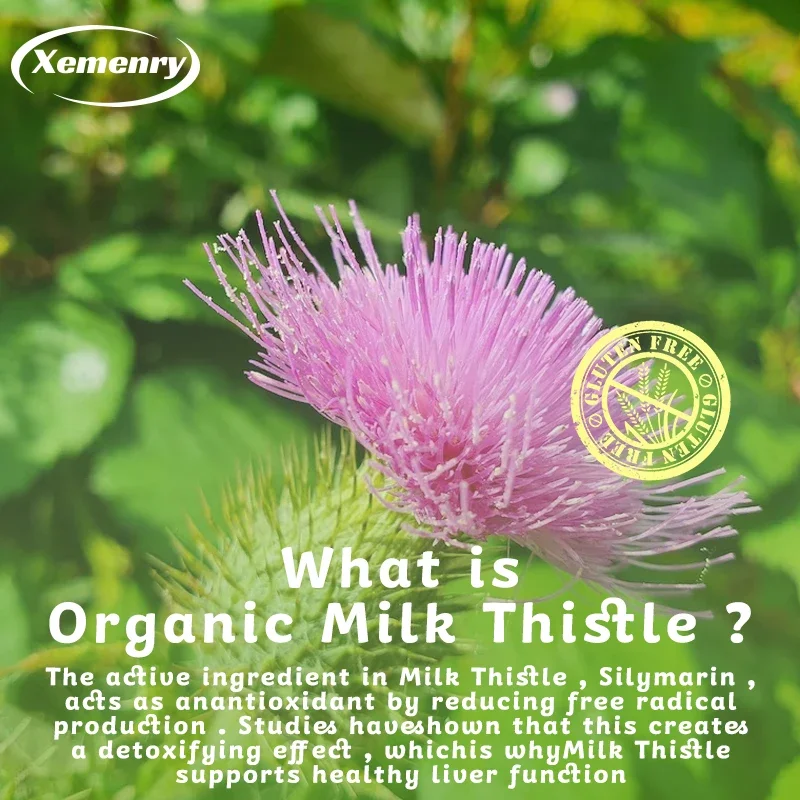 Milk Thistle Capsules 1000มก.  - Milk Thistle Silymarin บทวิจารณ์และราคา