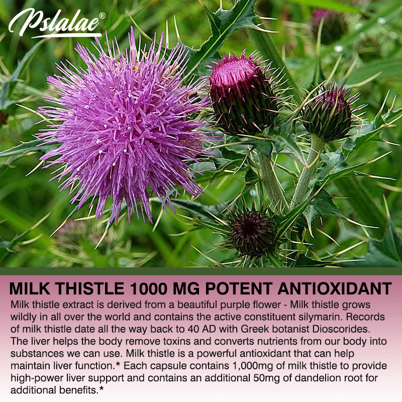 อาหารเสริม Thistle นมธรรมชาติ  - Milk Thistle Silymarin บทวิจารณ์และราคา